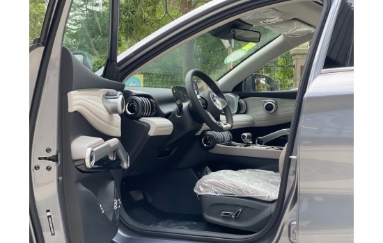 BYD Yuan Plus Grey 2024